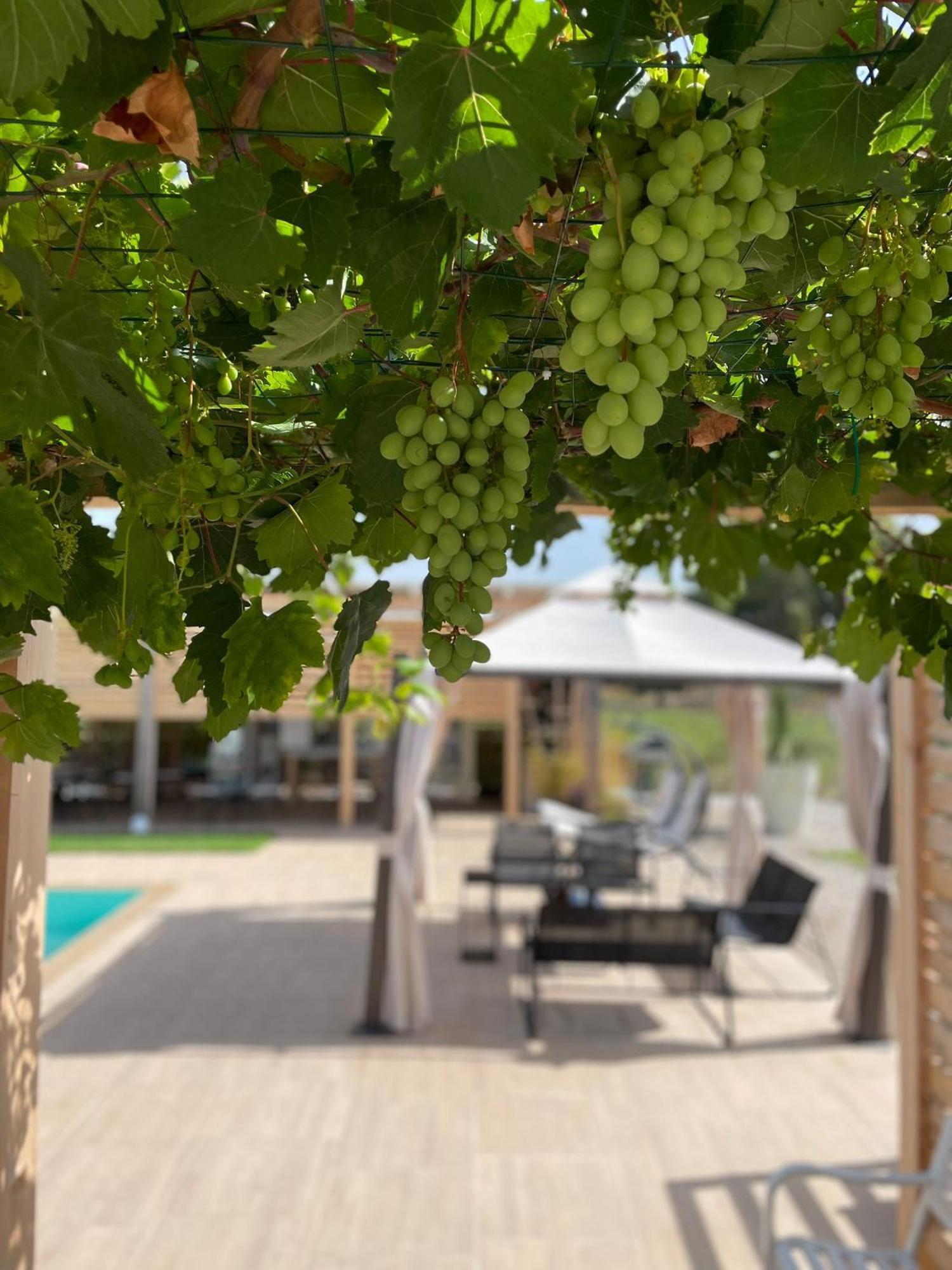 Hotel Le Stanze Di Chiara Torre Lapillo Zewnętrze zdjęcie